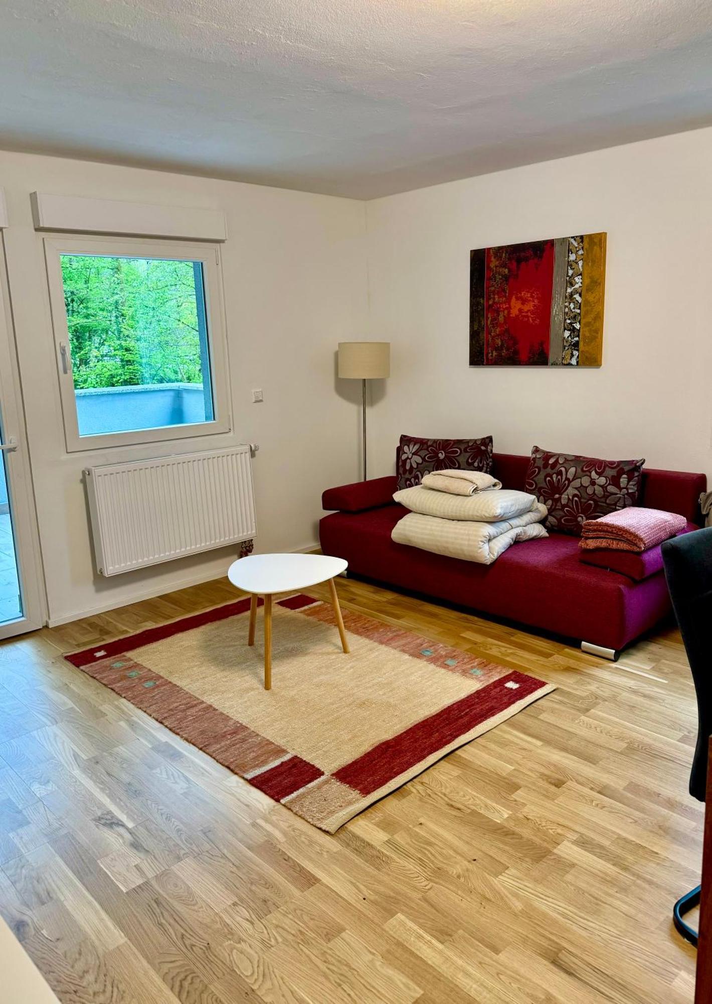Erholung An Den Wasserfaellen - In - Stilvolles Mit Terrasse, Parkplatz & Ruhiger Lage * Baden-Baden