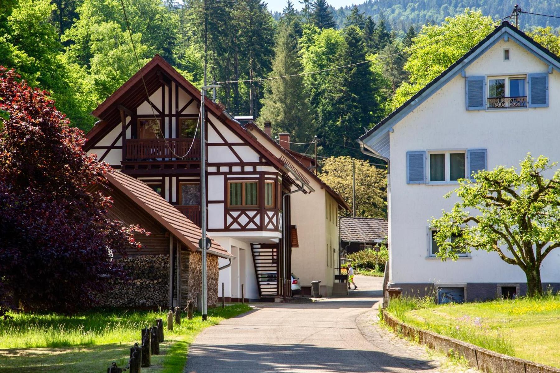 Erholung An Den Wasserfaellen - In - Stilvolles Mit Terrasse, Parkplatz & Ruhiger Lage Apartment Baden-Baden