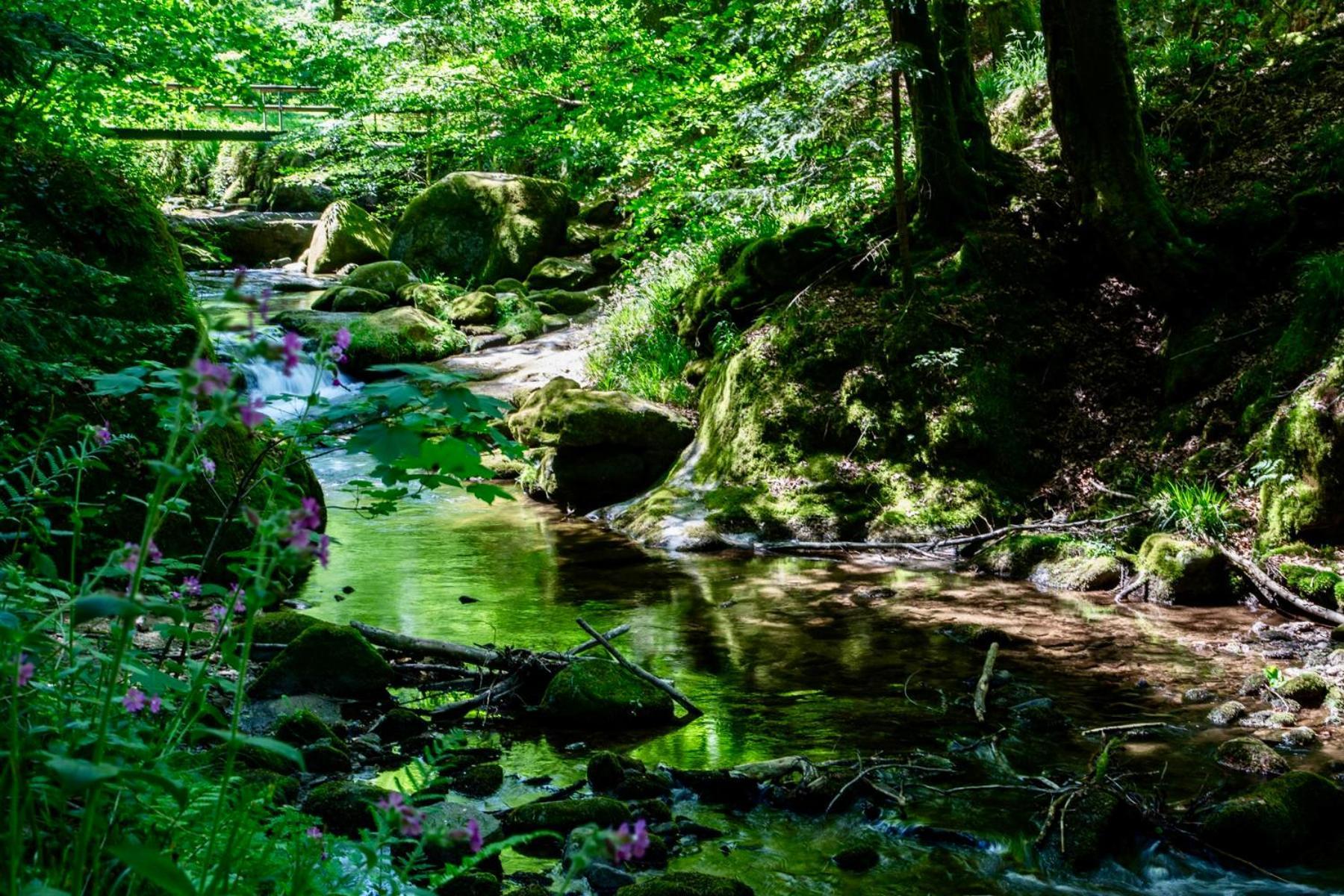 Erholung An Den Wasserfaellen - In - Stilvolles Mit Terrasse, Parkplatz & Ruhiger Lage Baden-Baden
