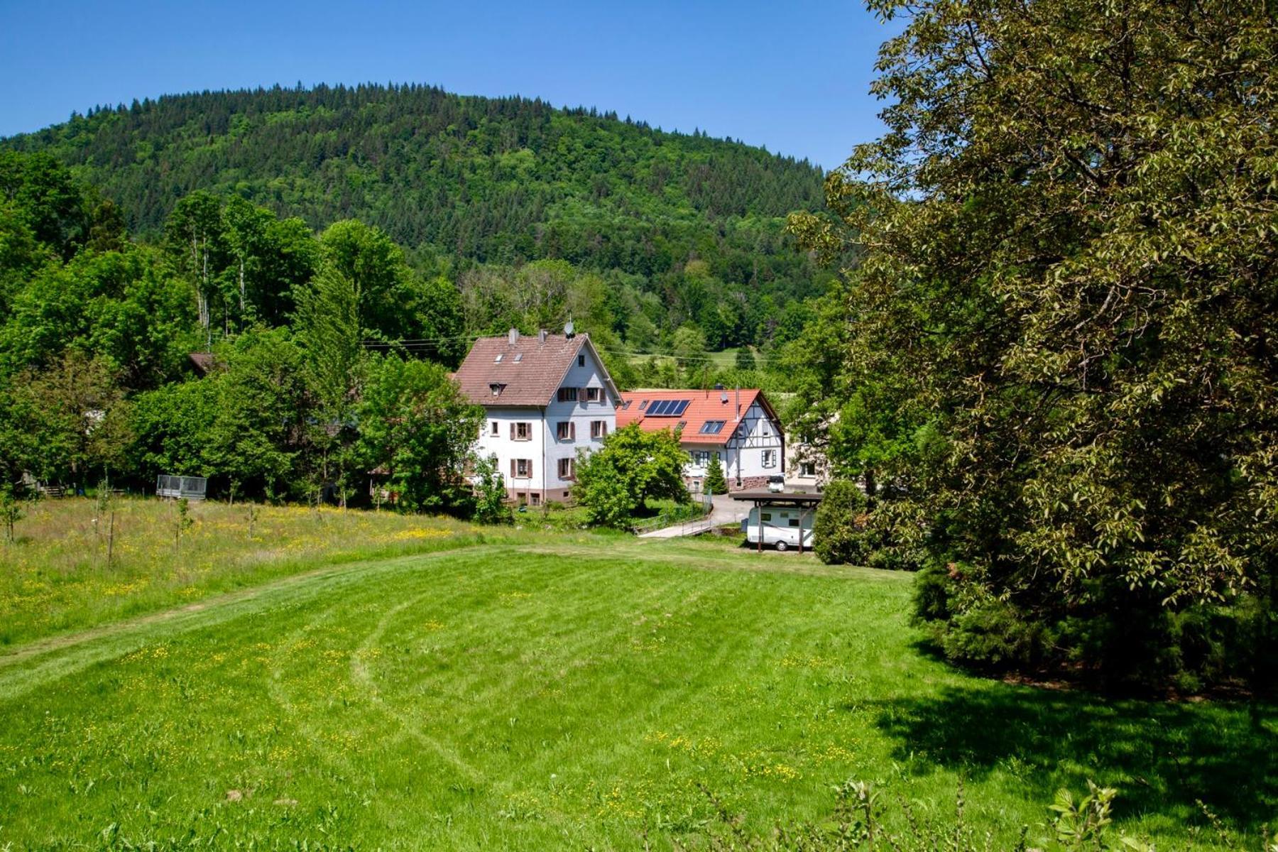 Erholung An Den Wasserfaellen - In - Stilvolles Mit Terrasse, Parkplatz & Ruhiger Lage